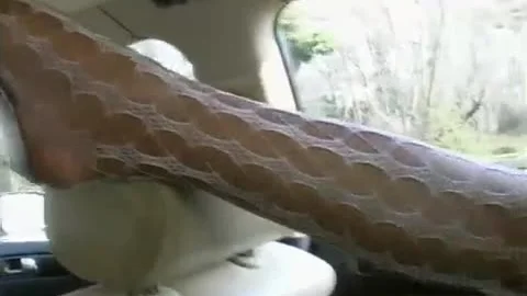 --tranny-fmd 0241 03