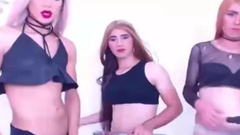 attractive ladyboys Undressing And Jacking schlong