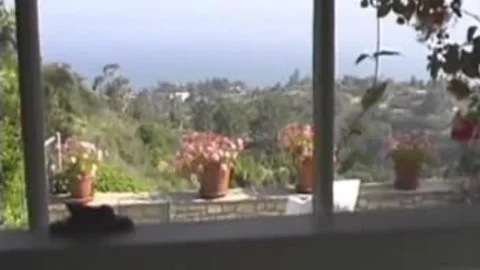 Trans Beauty Queens In lingerie