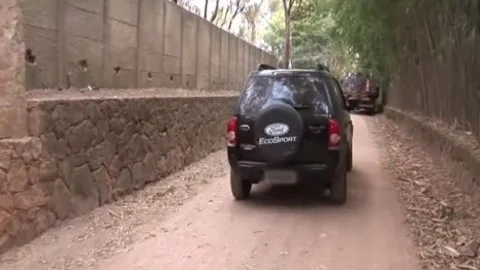 Thayla Andrade Is A lady-man With A huge dick