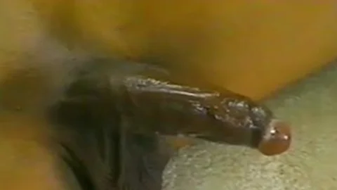 Watch Interracial poke With A Redbj Beauty