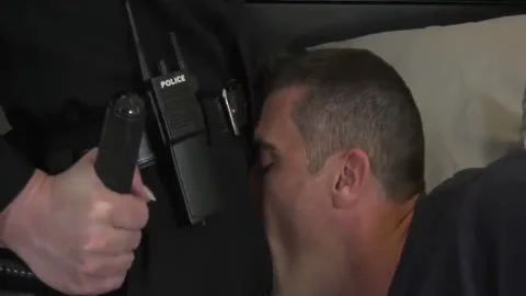 Bonjour La Police